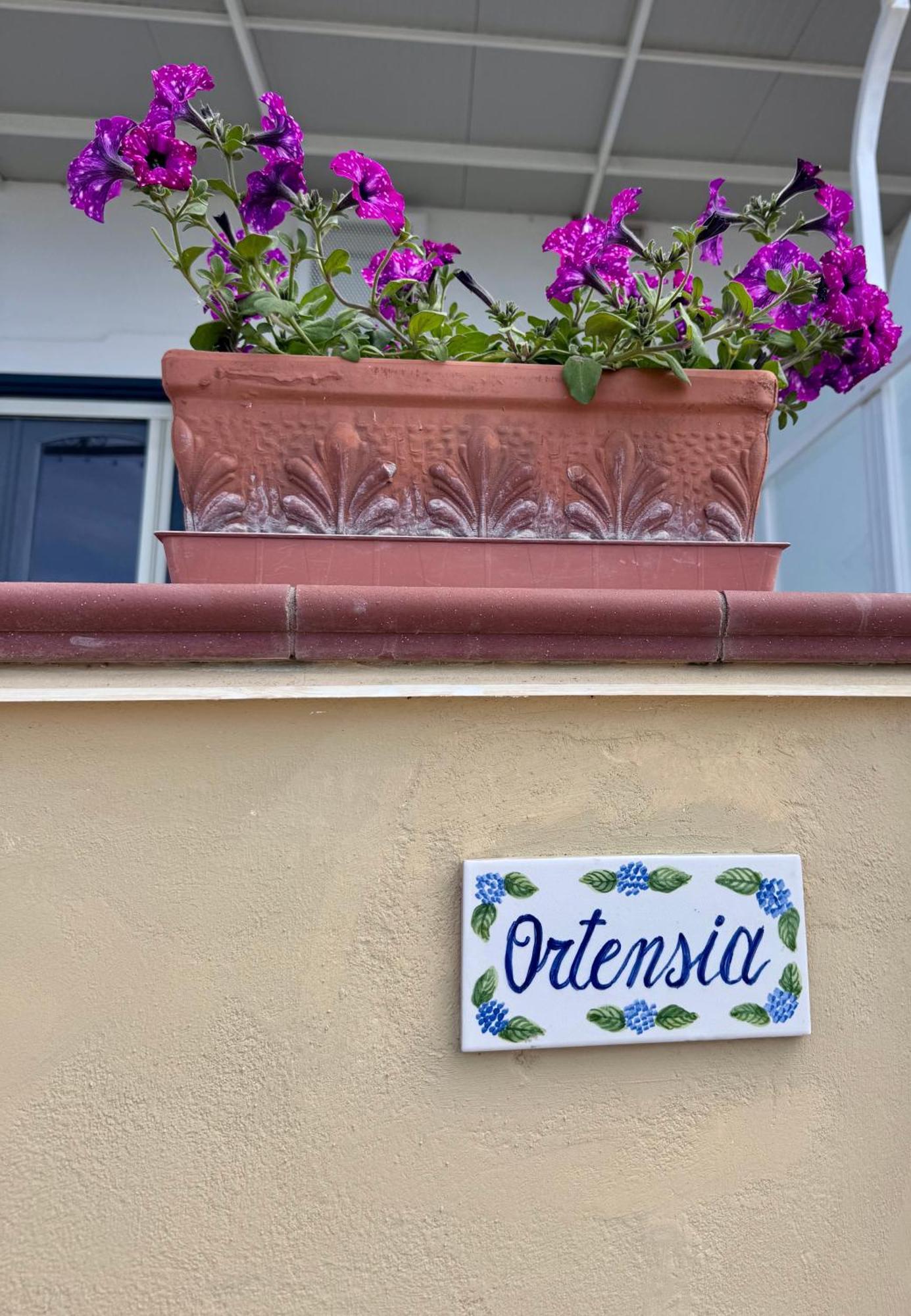 Il Profumo Dei Fiori Appartement Praiano Buitenkant foto